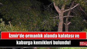 İzmir'de ormanlık alanda kafatası ve kaburga kemikleri bulundu