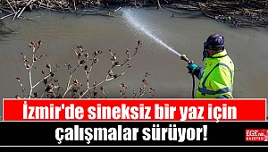 İzmir'de sineksiz bir yaz için çalışmalar sürüyor