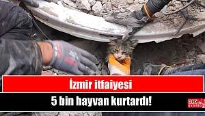 İzmir itfaiyesi 5 bin hayvan kurtardı
