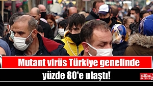 Mutant virüs Türkiye genelinde yüzde 80'e ulaştı