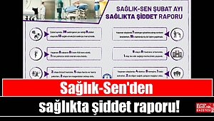 Sağlık-Sen'den sağlıkta şiddet raporu