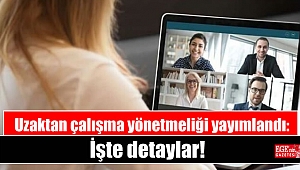 Uzaktan çalışma yönetmeliği yayımlandı: İşte detaylar