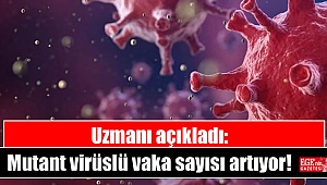 Uzmanı açıkladı: Mutant virüslü vaka sayısı artıyor