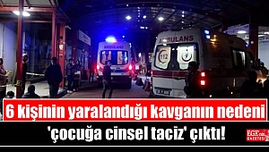 6 kişinin yaralandığı kavganın nedeni 'çocuğa cinsel taciz' çıktı