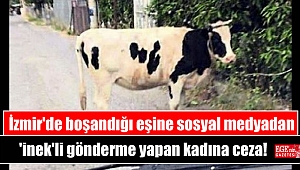 Boşandığı eşine sosyal medyadan 'inek'li gönderme yapan kadına ceza