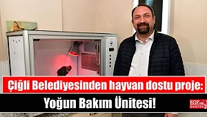 Çiğli Belediyesinden hayvan dostu proje: Yoğun Bakım Ünitesi