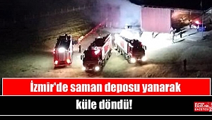 İzmir'de saman deposu yanarak küle döndü