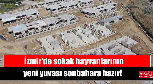 İzmir'de sokak hayvanlarının yeni yuvası sonbahara hazır