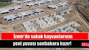 İzmir'de sokak hayvanlarının yeni yuvası sonbahara hazır