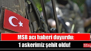 MSB acı haberi duyurdu: 1 askerimiz şehit oldu