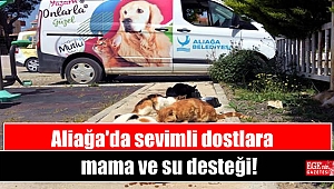 Aliağa'da sevimli dostlara mama ve su desteği
