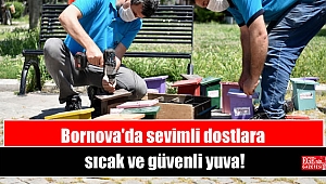 Bornova'da sevimli dostlara sıcak ve güvenli yuva