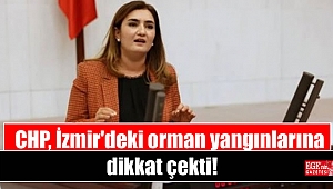 CHP, İzmir'deki orman yangınlarına dikkat çekti