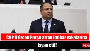 CHP'li Özcan Purçu artan intihar vakalarına isyan etti