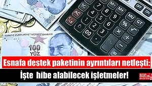 Esnafa destek paketinin ayrıntıları netleşti: İşte hibe alabilecek işletmeler
