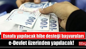 Esnafa yapılacak hibe desteği başvuruları e-Devlet üzerinden yapılacak