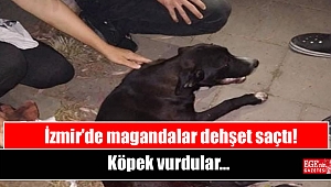İzmir’de magandalar dehşet saçtı