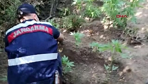 İzmir'de uyuşturucu operasyonu: 2 kişi tutuklandı