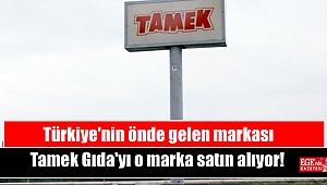 Türkiye'nin önde gelen markası Tamek Gıda'yı o marka satın alıyor