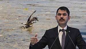 Bakan Kurum'dan firmalara yeni eylem planı uyarısı: Uymayanları kapatacağız
