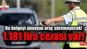 Bu belgeyi almayan araç süremeyecek: 1.181 lira cezası var
