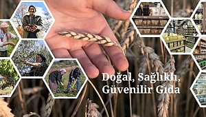 Halkın Bakkalı’nda online satış başladı