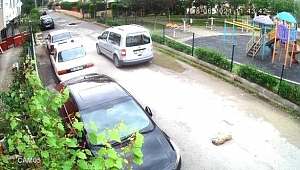 Hayvan hakları yasası hemen çıksın:Yolda oynayan yavru köpeği ezip yoluna devam etti