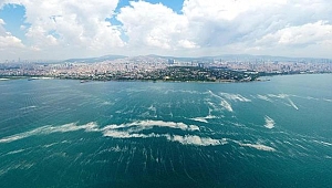 Müsilaj'dan sonra hidrojen sülfür tehlikesi: Denizdeki canlı yaşamını yok edebilir