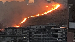 İzmir'de iki ilçede otluk alanda yangın