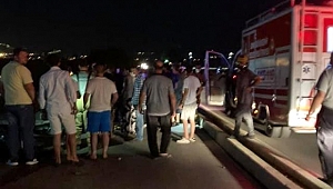 İzmir'de otomobil koyun sürüsüne daldı