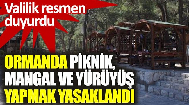 İzmir Valiliği'nden orman yangınları için yeni tedbir: 30 Ekim'e kadar piknik, mangal ve yürüyüş yasaklandı!