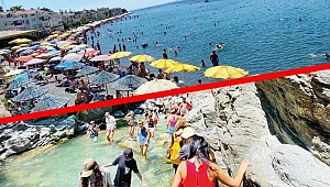 Kuzey Ege'de şelaleler bile dolu... Zeytinlikler otopark oldu