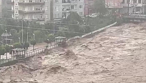 Rize yine sele teslim: Dereler taştı, yollar kapandı