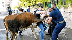Türkiye genelinde kesim sırasında yaralanan 6 bin 605 kişi hastanelere başvurdu