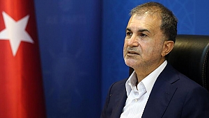 AK Parti'li Ömer Çelik'ten orman yangınlarıyla ilgili değerlendirme