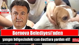Bornova Belediyesi'nden yangın bölgesindeki can dostlara yardım eli!