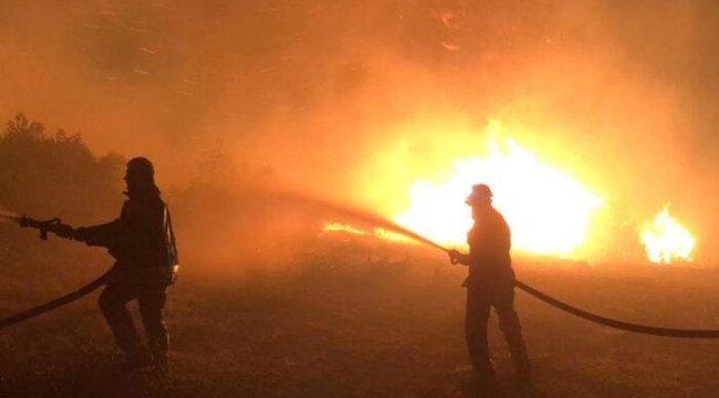 Manisa'daki orman yangını söndürüldü