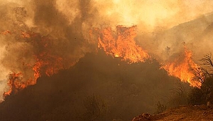 Muğla'daki yangınlarla ilgili 6 tutuklama