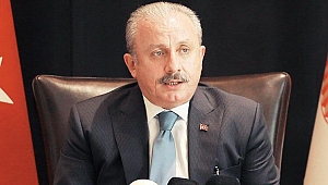 Mustafa Şentop: Yakıldıysa her dalın hesabı sorulur