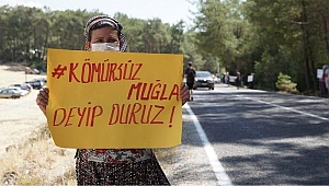 Akbelen Ormanı eylemcileri: 'Vicdanı olan hiç kimse bu ormanın kesilmesine onay vermez'