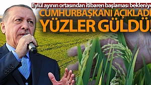 Cumhurbaşkanı açıkladı, çeltik üreticilerinin yüzü güldü