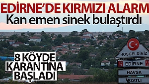 Edirne’de kırmızı alarm: Kan emen sinek bulaştırdı, 8 köyde ‘mavi dil’ karantinası başlatıldı