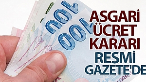 Asgari ücret kararı Resmi Gazete'de: Günlük asgari ücret 166.80 lira oldu