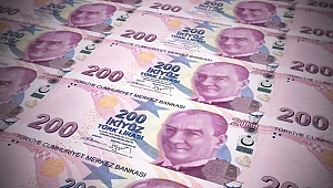 Bakan Pakdemirli'den girişimci ve gençlere müjde