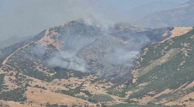İzmir Tire'de de Çıkan Yangın Kontrol Altına Alındı 