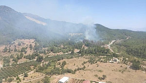 İzmir'in Seferihisar ilçesinde orman yangını