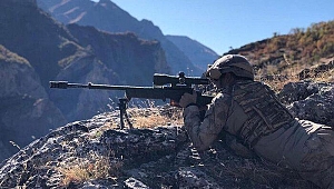 Ağrı'da PKK'ya darbe! 2'si yeşil kategoride 3 terörist etkisiz hale getirildi