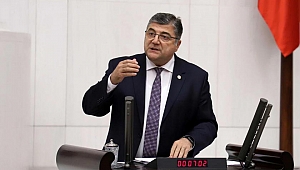 CHP'li Sındır: Demokrasi için yandaş değil özgür basın şart