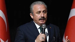 TBMM Başkanı Şentop'tan, İsrail'e kınama