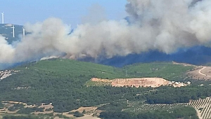 Anonslarla bölge halkı uyarılmıştı: Manisa Soma'daki orman yangını kontrol altında